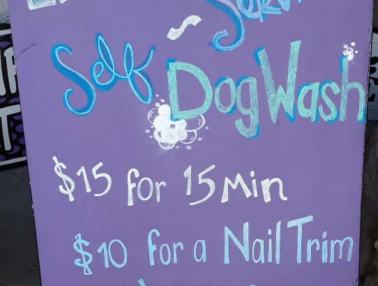 New Self-Service Dog Wash Service